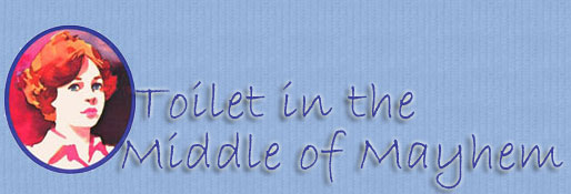 Toilet in the Middle of Mayhem