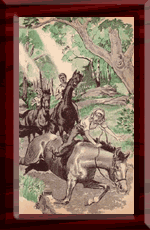 The horses are frightened!