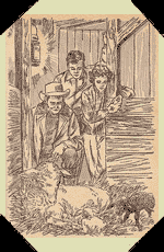 "We haven't had a black lamb in years."