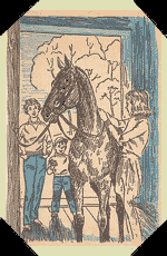 Honey was saddling Starlight.